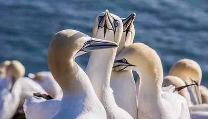 爱游戏全站-国内职业足球比赛赛程密集紧张，球员们备战全力，中国职业足球联赛有哪些