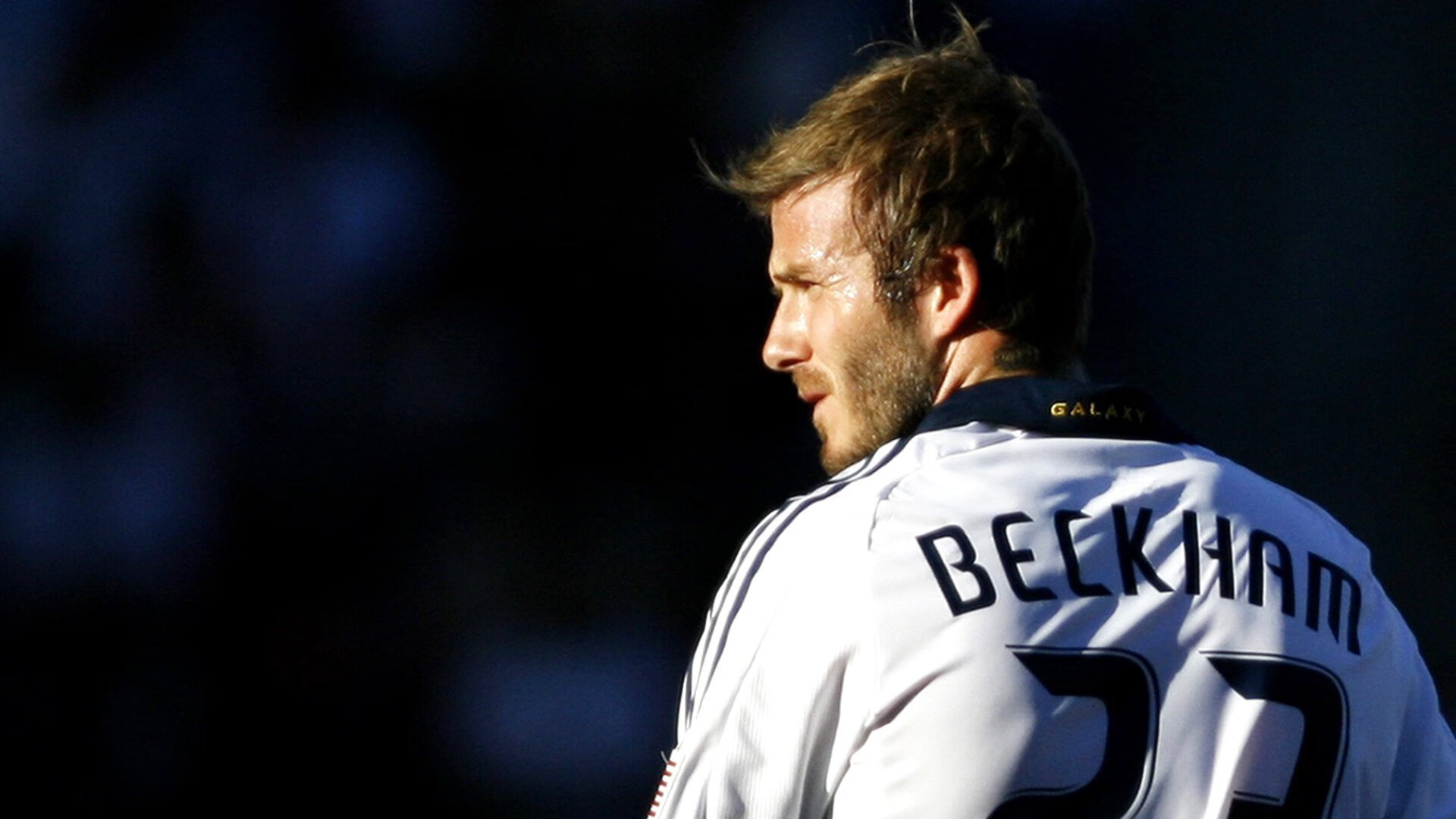 公牛球迷期待球队在休赛期进行积极操作，公牛 球队